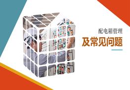 配電箱常見(jiàn)問(wèn)題治理pptx