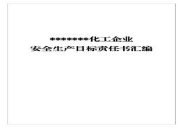 XX化工企業(yè)安全生產(chǎn)目標(biāo)責(zé)任書匯編docx