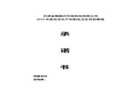 總經(jīng)理安全生產(chǎn)承諾書doc
