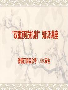 雙重預(yù)防機(jī)制ppt