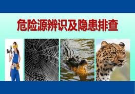 危險(xiǎn)源辨識(shí)及隱患排查（80頁(yè)）pptx