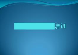 燃?xì)忮仩t知識(shí)培訓(xùn)pptx