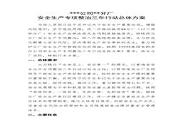 企業(yè)安全生產(chǎn)專項整治三年行動總體方案(1)docx