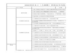 木工（大鋼模）安全生產(chǎn)指引表xlsx