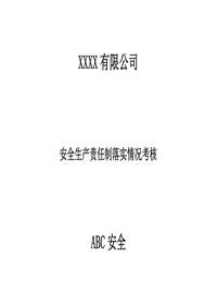安全生產(chǎn)責任制落實情況考核方法doc