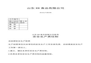 雙體系安全生產(chǎn)責(zé)任制docx