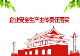 企業(yè)安全生產(chǎn)主體責(zé)任落實ppt