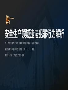 新安法下，安全領(lǐng)域違法犯罪解析（107頁）pptx