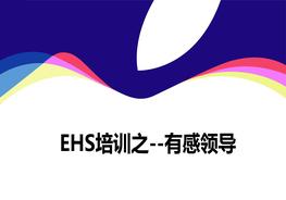 EHS培訓(xùn)--有感領(lǐng)導(dǎo)ppt