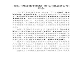 《生命重于泰山》宣傳片觀后感心得體會(huì)docx