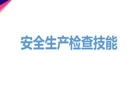 安全生產(chǎn)檢查技能pptx