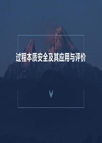 過程本質安全及其應用與評價（51頁）pptx