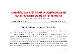 全國危險(xiǎn)化學(xué)品重大危險(xiǎn)源企業(yè)專項(xiàng)檢查督導(dǎo)工作簡(jiǎn)報(bào)（第6期）pdf