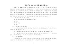 燃?xì)獍踩挪閳?bào)告docx