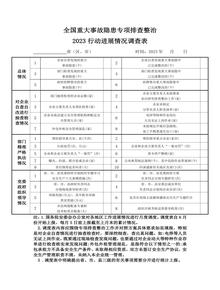 全國(guó)重大事故隱患專(zhuān)項(xiàng)排查整治2023行動(dòng)進(jìn)展情況調(diào)查表docx