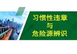 習(xí)慣性違章與危險源辨識pptx