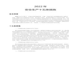 2022年安全生產(chǎn)十五條措施強化安全生產(chǎn)責(zé)任落實堅決防范遏制重特大事故docx