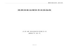 山東HF食品股份有限公司隱患排查治理體系實施指南doc