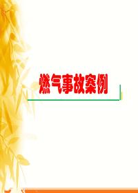  燃?xì)馐鹿拾咐龑W(xué)習(xí)ppt