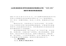 山東鼎鼎化學(xué)科技股份有限公司“10·26” 爆炸事故調(diào)查報告docx