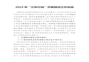 2022年“三年行動(dòng)”開展情況工作總結(jié)（9頁(yè)）docx