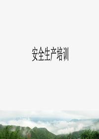 制藥企業(yè)安全生產(chǎn)培訓(xùn)pptx