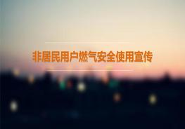 非居民用戶燃氣安全使用宣傳（45頁）pptx