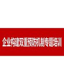 2023新版企業(yè)雙重預(yù)防機(jī)制構(gòu)建專題培訓(xùn)（110頁）pptx