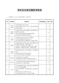 安全生產(chǎn)責(zé)任制履職考核表匯編（17頁(yè)）docx