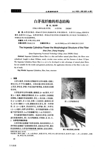 白茅花纖維的形態(tài)結(jié)構(gòu)