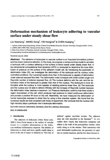 Deformation mechanism of leukocyte adhering to vascular surface under steady shear flow