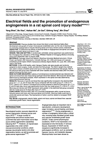 Electrical fields and the promotion of endogenous angiogenesis in a rat spinal cord injury model