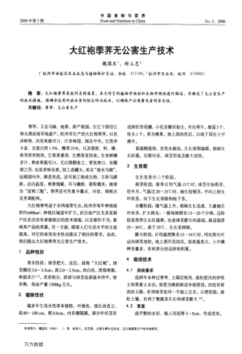 大紅袍荸薺無公害生產(chǎn)技術(shù)