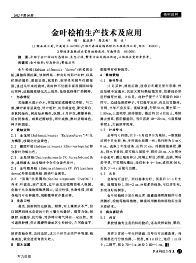 金葉檜柏生產(chǎn)技術(shù)及應(yīng)用