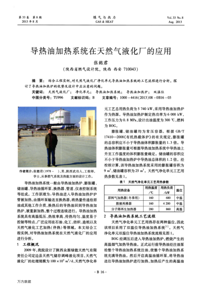 導熱油加熱系統(tǒng)在天然氣液化廠的應用