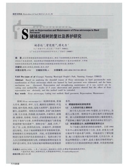 硬鋪裝榕樹(shù)的復(fù)壯及養(yǎng)護(hù)研究