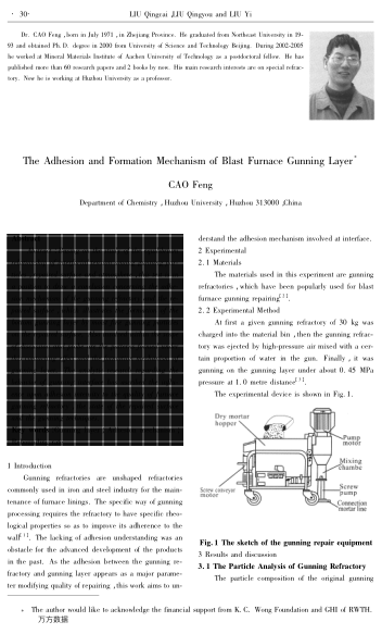 The Adhesion and Formation Mechanism of Blast Furnace Gunning Layer