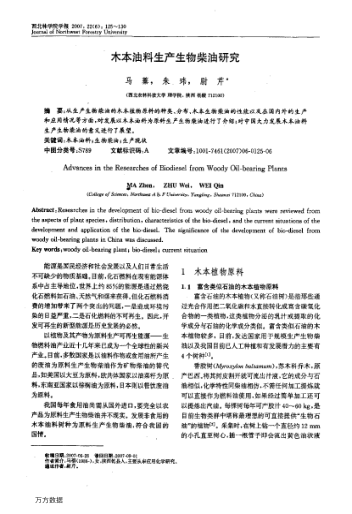 木本油料生產(chǎn)生物柴油研究