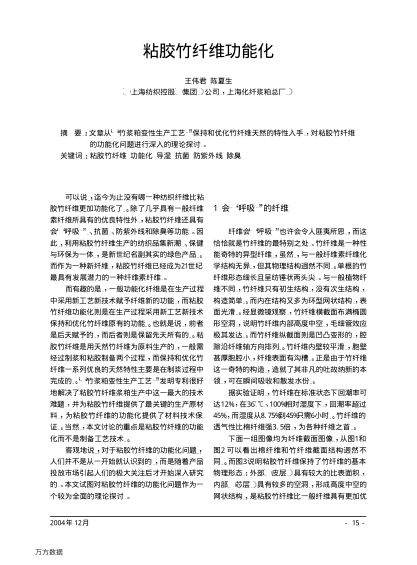 粘膠竹纖維功能化