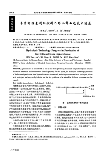木質(zhì)纖維素制取燃料乙醇水解工藝技術(shù)進(jìn)展