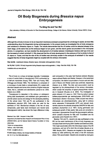 Oil Body Biogenesis during Brassica napus Embryogenesis
