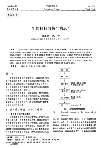 生物材料的仿生構(gòu)思