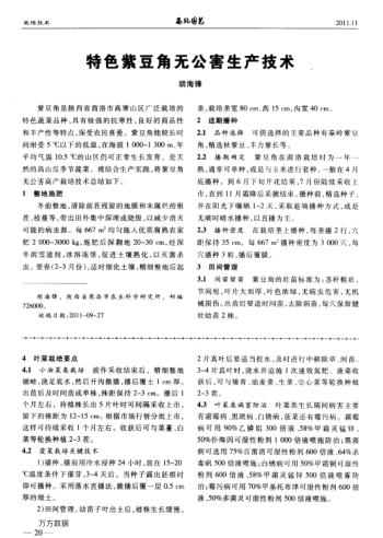 特色紫豆角無公害生產(chǎn)技術(shù)