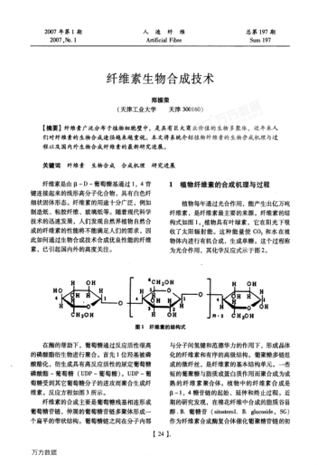 纖維素生物合成技術(shù)