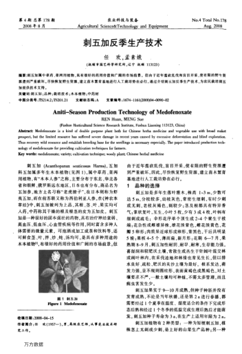 刺五加反季生產(chǎn)技術(shù)