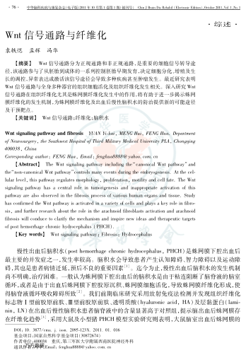 Wnt信號(hào)通路與纖維化