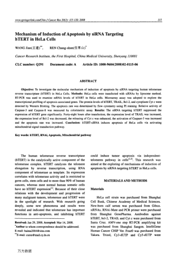 Mechanism of Induction of Apoptosis by siRNA Targeting hTERT in HeLa Cells