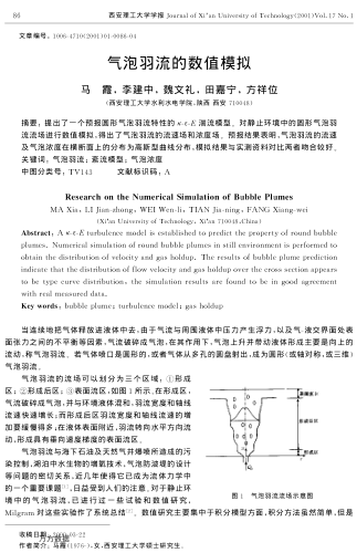 氣泡羽流的數(shù)值模擬