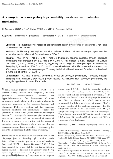 Adriamycin increases podocyte permeability: evidence and molecular mechanism