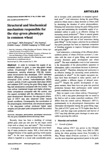Structural and biochemical mechanism responsible for the stay-green phenotype in common wheat